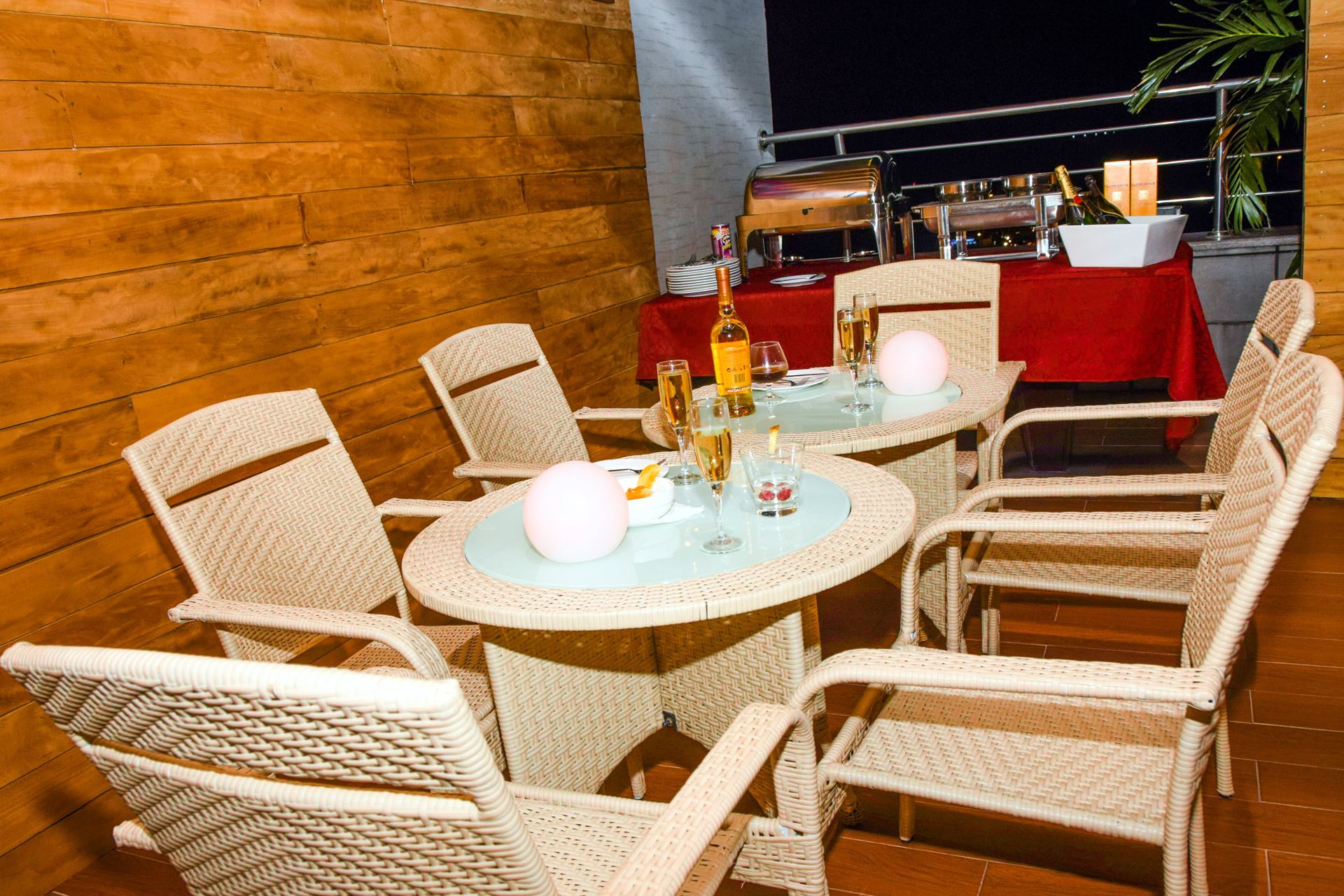 Presidential Room View 2